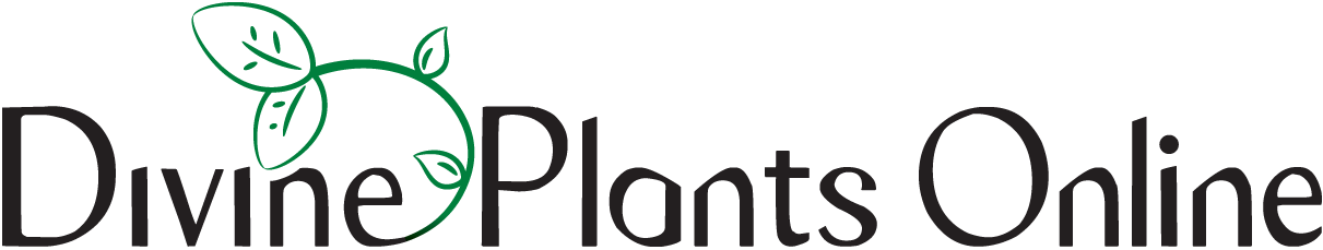 Divine Plants Logo